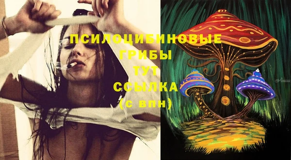 шишки Балахна
