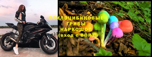 шишки Балахна