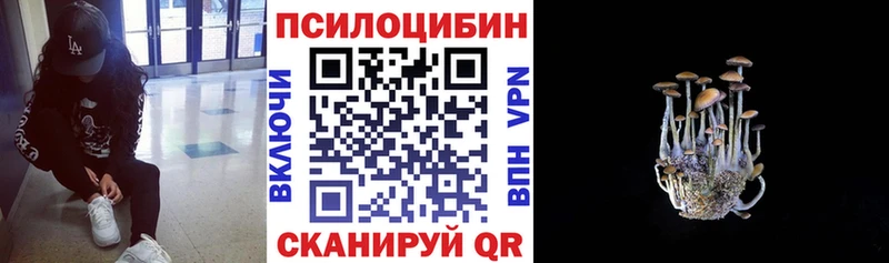 Галлюциногенные грибы Magic Shrooms Купить закладки Никольск